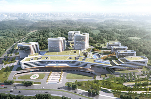 ”临安人民医院及妇幼保健院迁建项目“