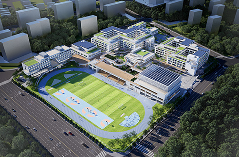 ”江东新区江东小学“