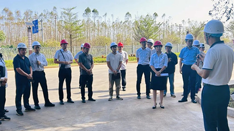”龙庆东南丨“摩羯”台风后